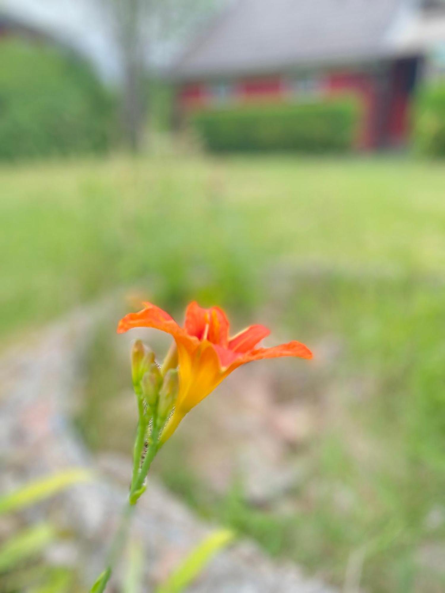 Lilla Roeda Huset. Villa Sjotofta Luaran gambar